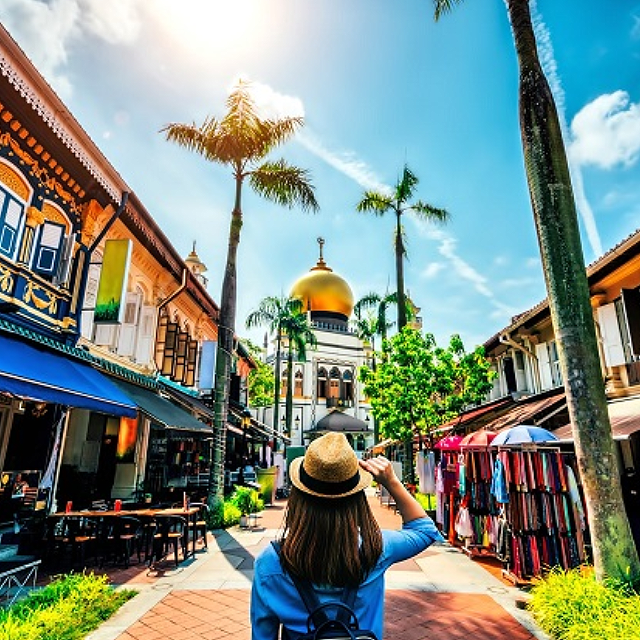 The Spice Journey (Little India & Kampong Glam)