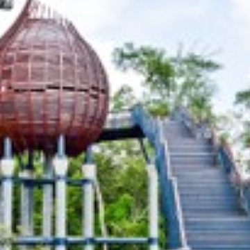 Discover Singapore’s Green Spaces