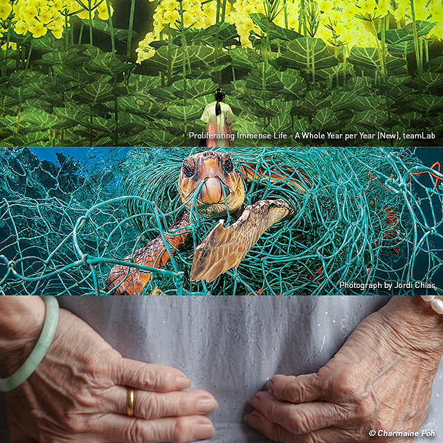 3 Exhibitions (Future World + Planet or Plastic + Margins) - Adult