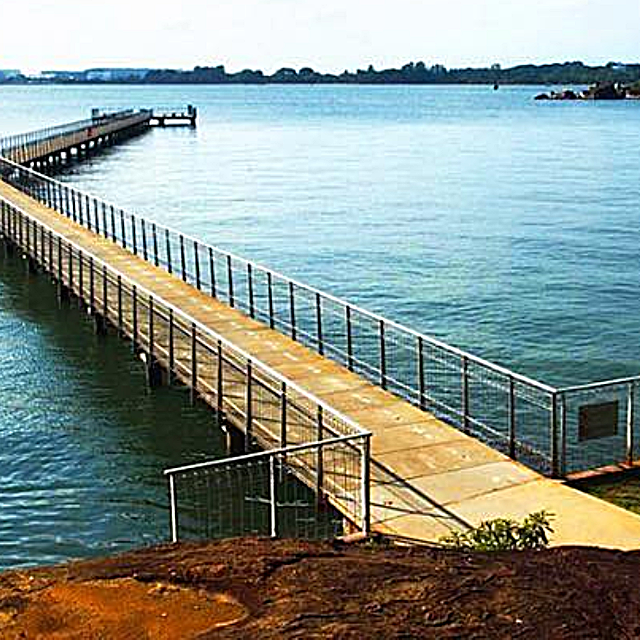 Explore Chek Jawa @ Pulau Ubin