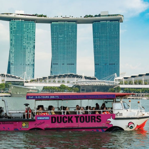 DUCK tours + Lunch + SEA Aquarium Full Day Tour