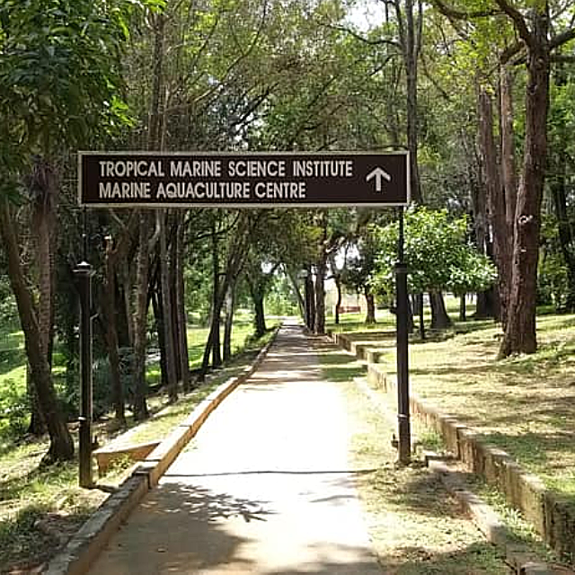 Explore Singapore Southern island