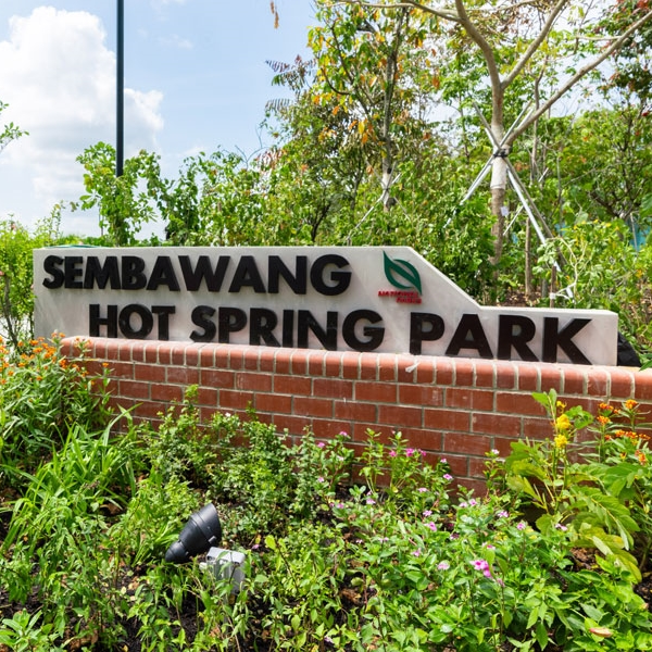 Re-Discover Singapore (Full Day)