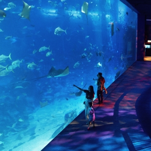 SEA Aquarium + Lunch + Floral Fantasy Full Day Tour