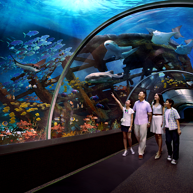 S.E.A. Aquarium™