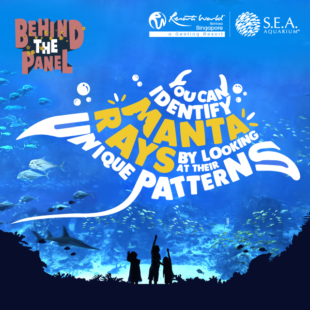 S.E.A. Aquarium + Behind the Panel
