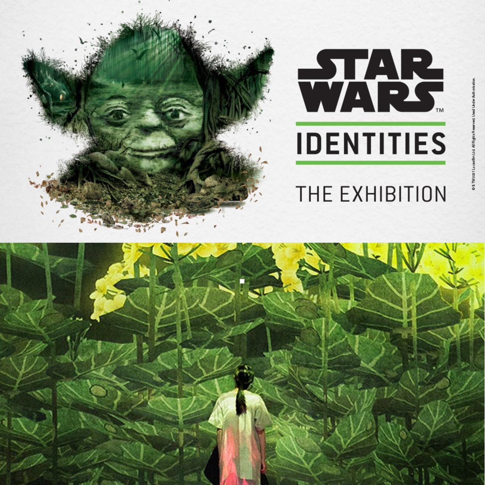 SRV Combo <i>STAR WARS™ Identities</i>: The Exhibition & Future World (Mon-Sun) (30Jan - 27Jun 2021) - Concession