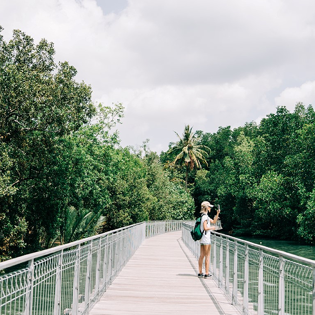 Origin Journeys' Pulau Ubin and Chek Jawa Wetlands