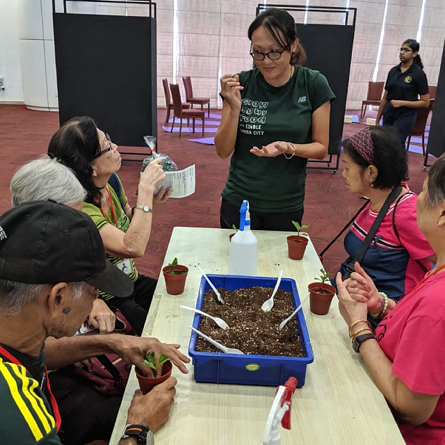 Edible Garden Tour