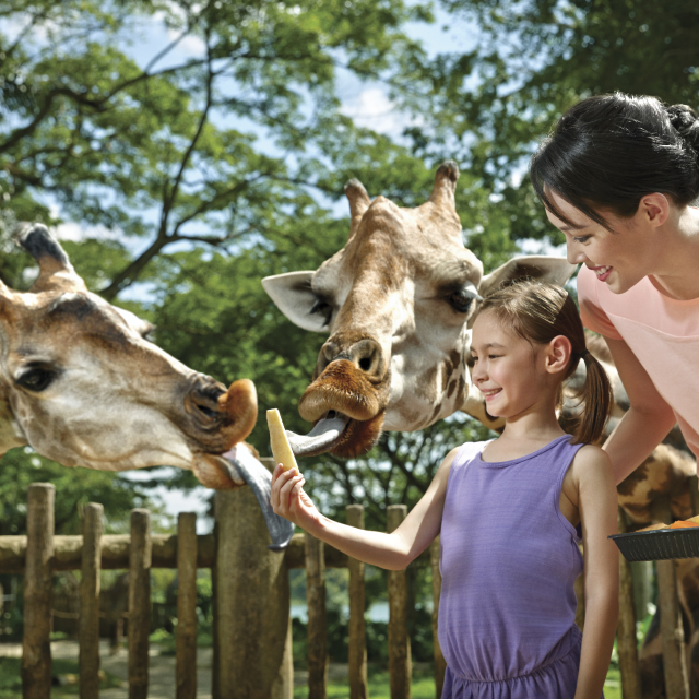 Singapore Zoo